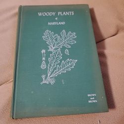 Woody Plants Of Maryland