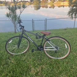 Hybrid Bike