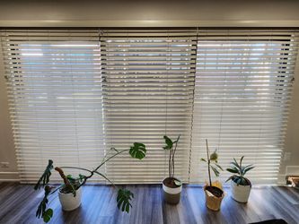 Gray/Beige Blinds For Balcony Or Big Windows