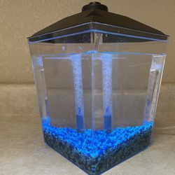 Small Fish Tank