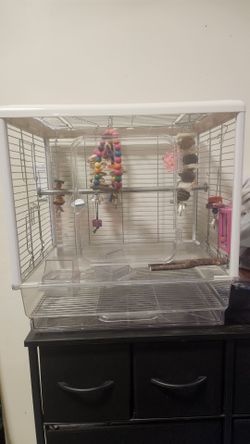 Birdcage