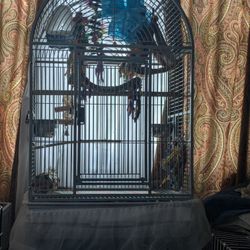 Parrot Cage And Toys