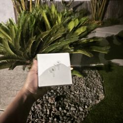 AirPod Pro 2nd Generation 