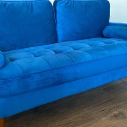 New  Velvet Couch 