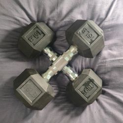 15lbs Dumbells