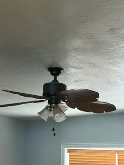 Nice fan