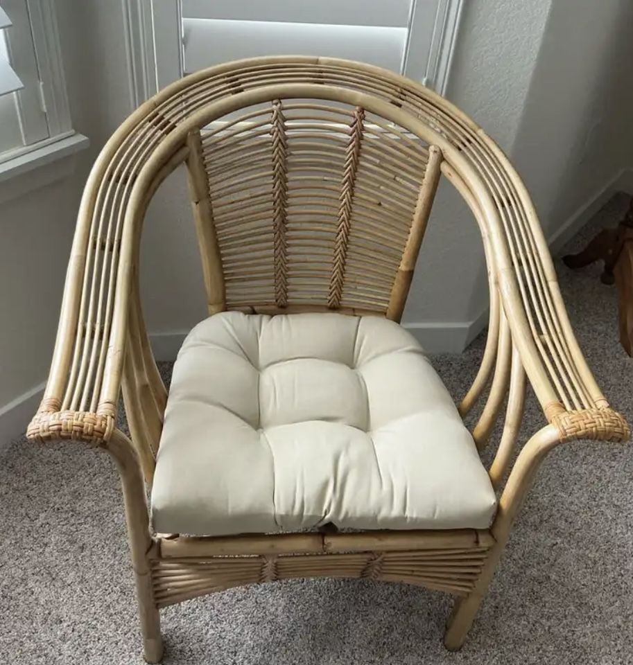Rattan Arm Chair & Cushion.