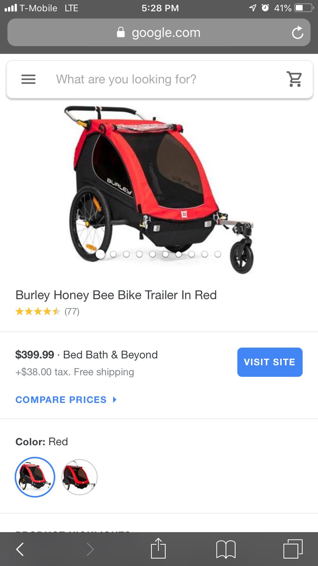Burley Bee 🐝 bike trailer for 2 kids