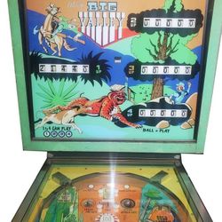 Bally Big Valley Pinball Machine