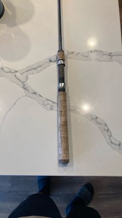2 piece spinning rod