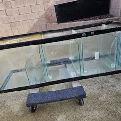 Fish Tank Aquarium Sump 60 Gal