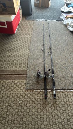 Fishing pole and rods