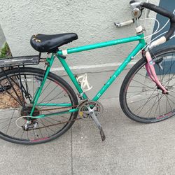 Miyata Vintage Road Bike