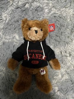 Buccaneers Bear 