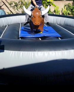 Mechanical Bull