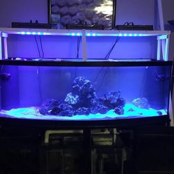 160 Bowfront Salt Water Fish Tank Aquarium With Stand 