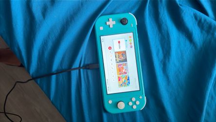 Switch lite