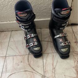 Skis         Size12