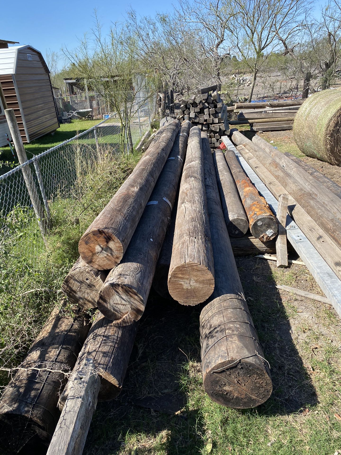 Treated cedar poles