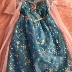 Frozen costume