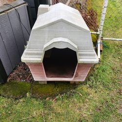 Dog House