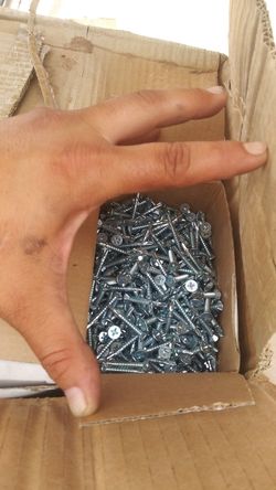 screws Self Tapping Zinc Plated$15