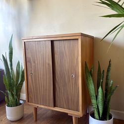 Charming Petite Mid-Century Modern Record Credenza