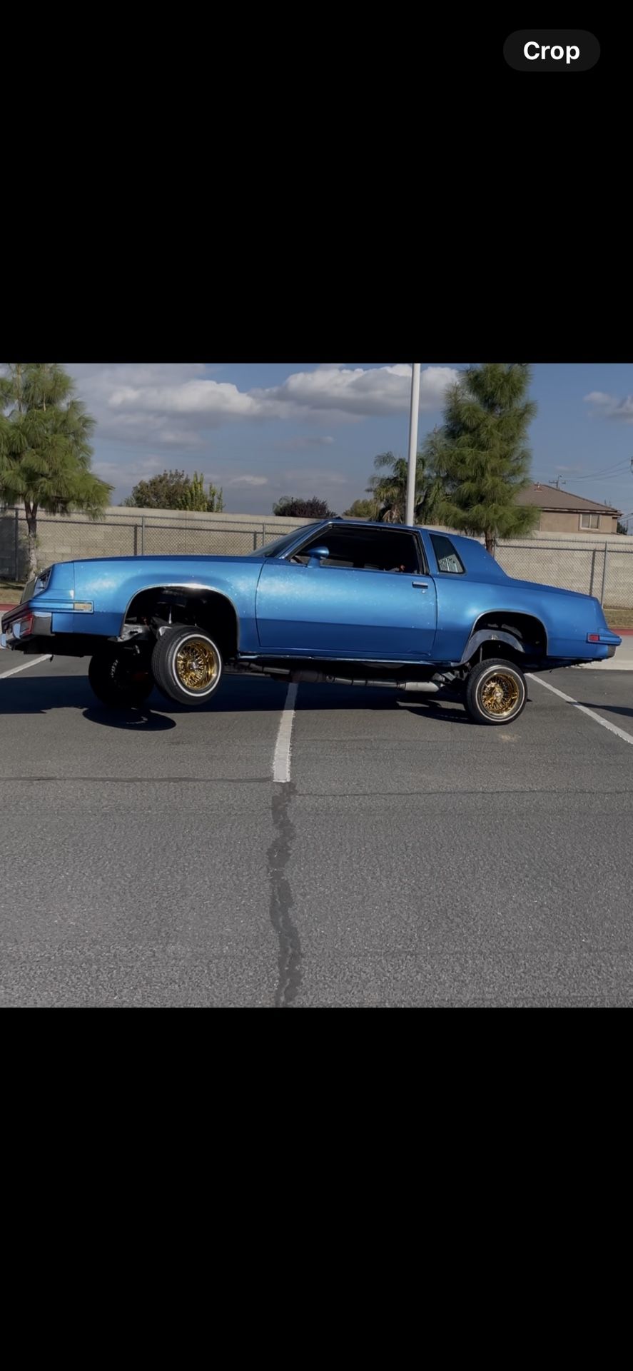 1984 Oldsmobile Cutlass