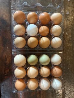 Farm fresh eggs
