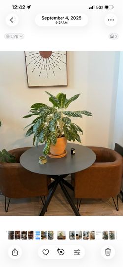 Low seating leather chairs and table