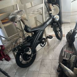 Customize E-bike