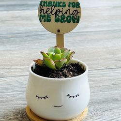 Succulent Plant And Personalized Ceramic Pot