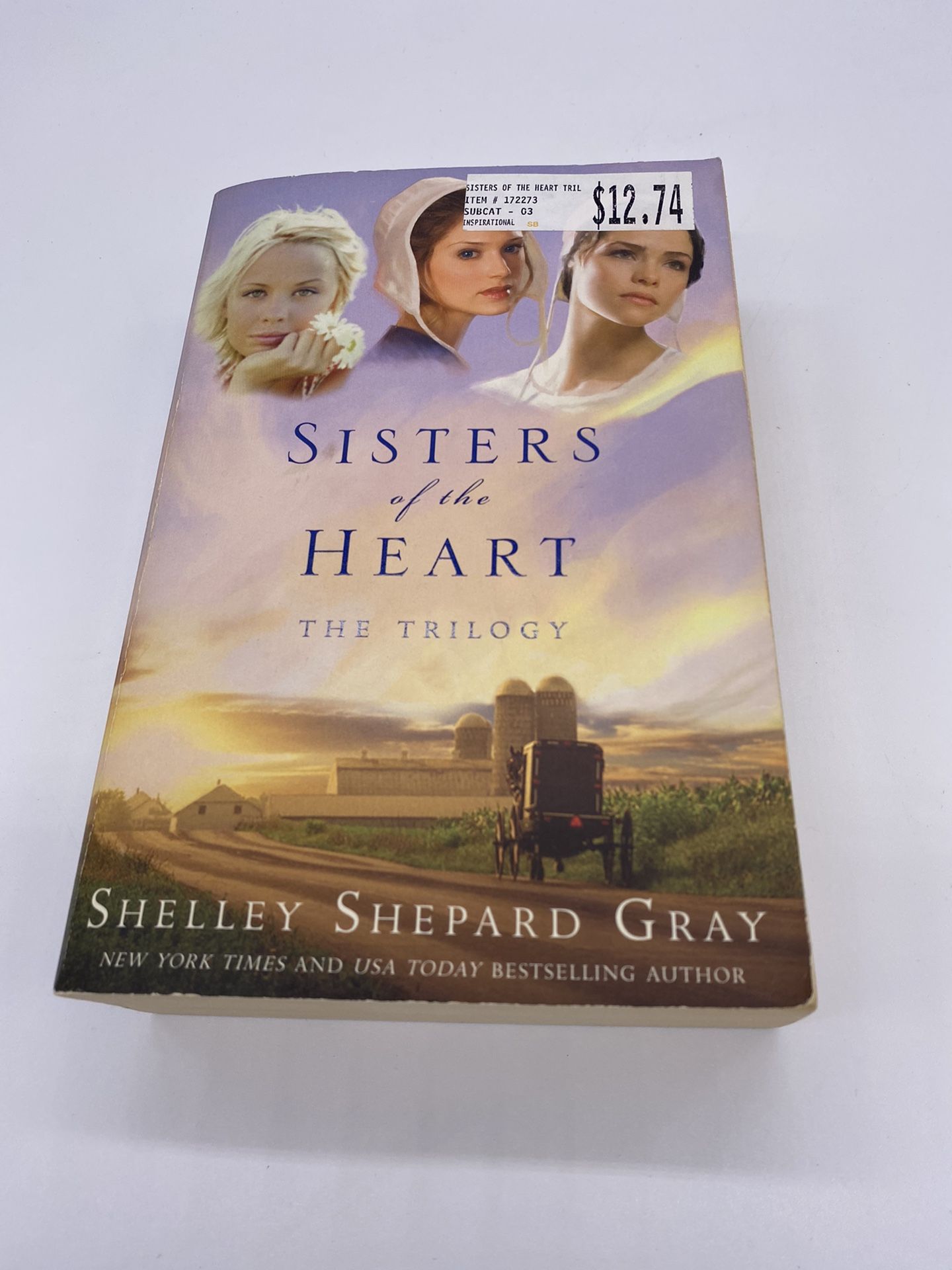 3 Sisters of the Heart Trilogy by Shelley Shepard Gray Hidden,Wanted & Forgiven
