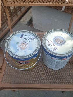 2 Gallons Of Paint New