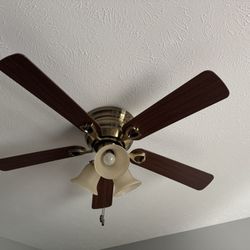 Hampton Bay Ceiling Fan With Light