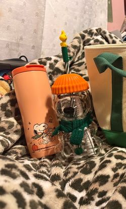 Starbucks Peanuts Fall Tumbler (Orange Cup)