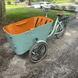 Electric Cargo Bike