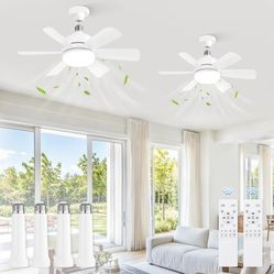  5 Tier Adjustable Shower Organizer Hanging with 2 Toothbrush Holders & 4 Hooks