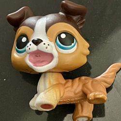 Littlest Pet Shop LPS RARE - 237 Collie Open Mouth Leg Up Blue Eyes Red Magnet