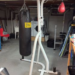 Everlast Punching Bag/ Speed Bag Combo
