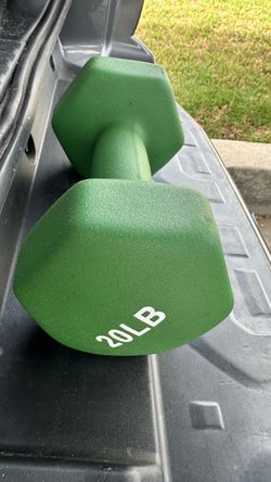 20 LB Neoprene Hex Dumbbells Pair