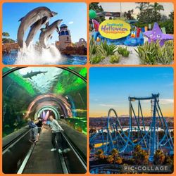 SeaWorld Passes (10 passes)