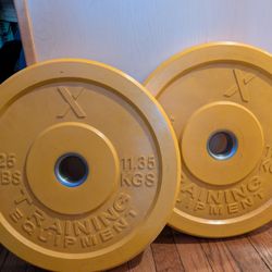 25 Pound Bumper Weight Plates