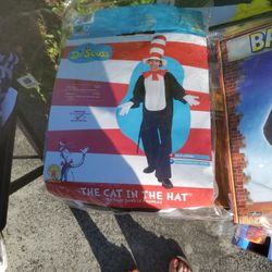 Halloween Costume