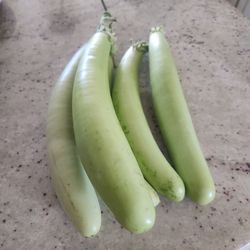 Organic Green Egglants