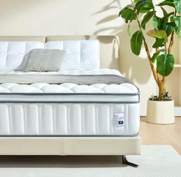 Sozlo 12 inch Queen size mattress