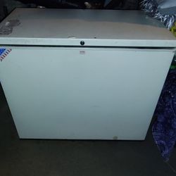 Clean Frigidaire Chest Freezer