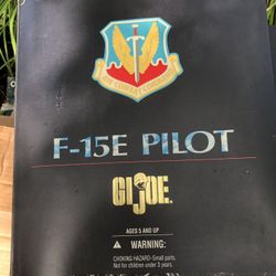GI Joe: F15 Pilot: 12 Inch Action Figure 