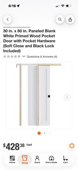 NIB 30x80 POCKET DOOR