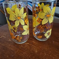 2 Vtg. Libbey Drinking Glasses. Floral Pattern 